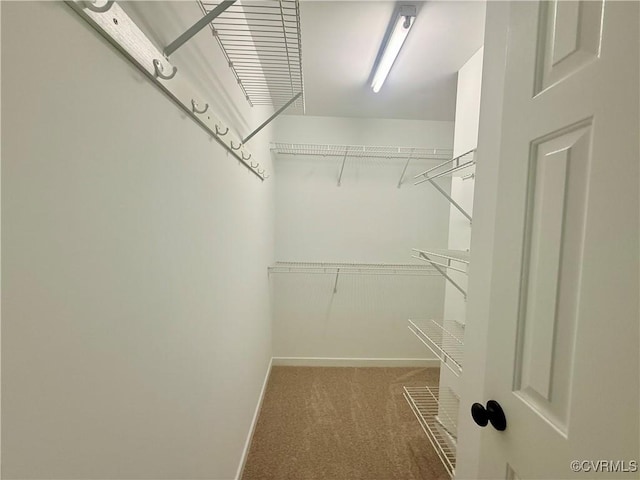 10342 Brickerton Dr, Mechanicsville, VA 23116 - walk in closet with carpet