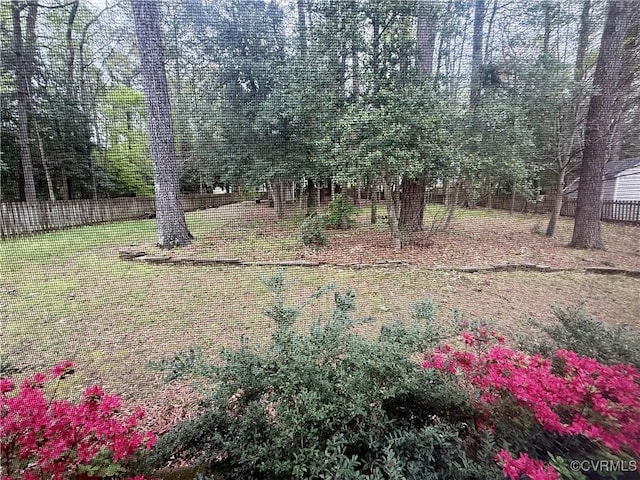 10342 Brickerton Dr, Mechanicsville, VA 23116 - view of yard