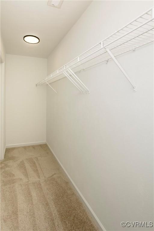 13637 Laketree Dr, Chester, VA 23831 - photo 20