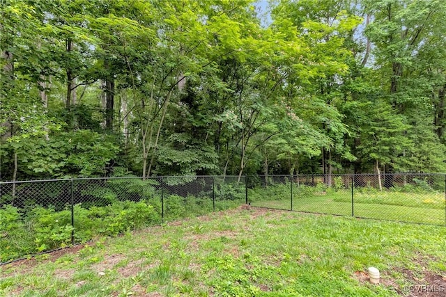 16494 Connie Hall Rd, Montpelier, VA 23192 - view of yard