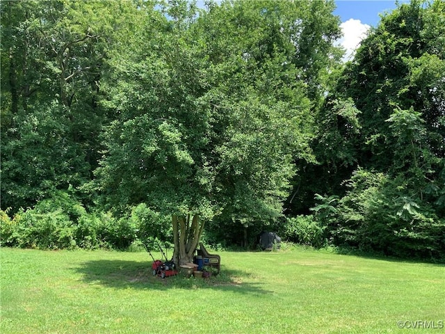 601 German School Rd, Richmond, VA 23225 - photo 23
