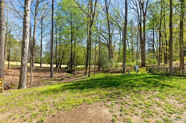 341 Rossmere Dr, Midlothian, VA 23114 - view of yard