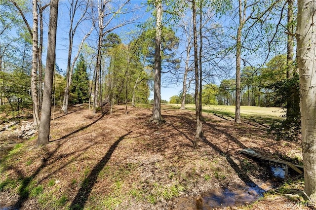 341 Rossmere Dr, Midlothian, VA 23114 - view of yard