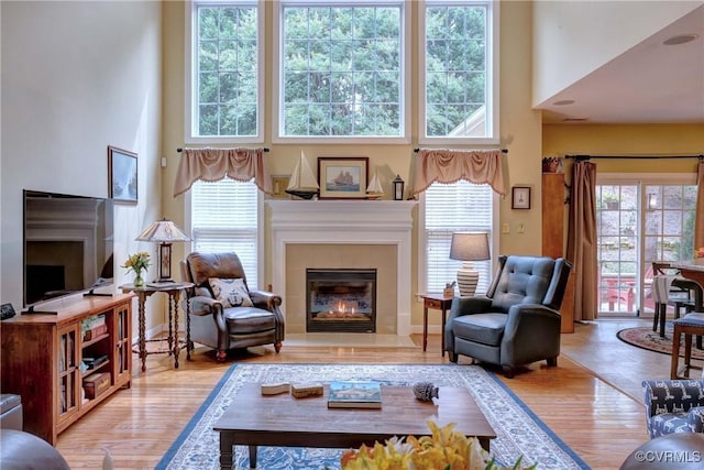 5669 Virginia Park Dr, Providence Forge, VA 23140 - living room featuring a fireplace, a high ceiling, and wood finished floors