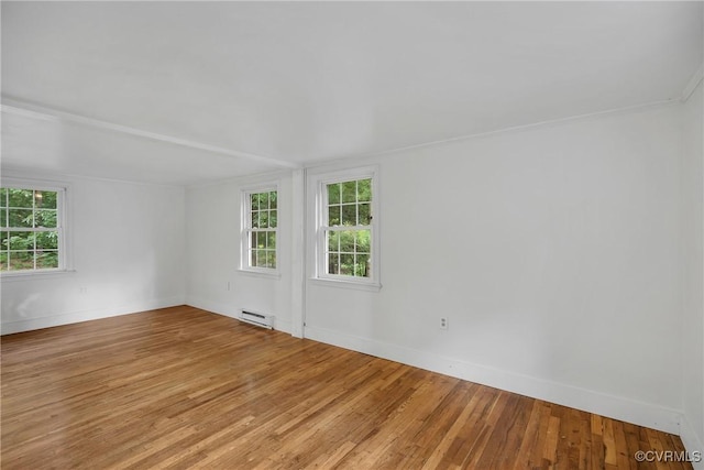 8253 Bell Creek Rd, Mechanicsville, VA 23111 - photo 39
