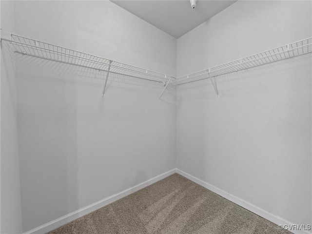624 Bristol Village Dr Unit 302, Chesterfield, VA 23114 - spacious closet with carpet floors