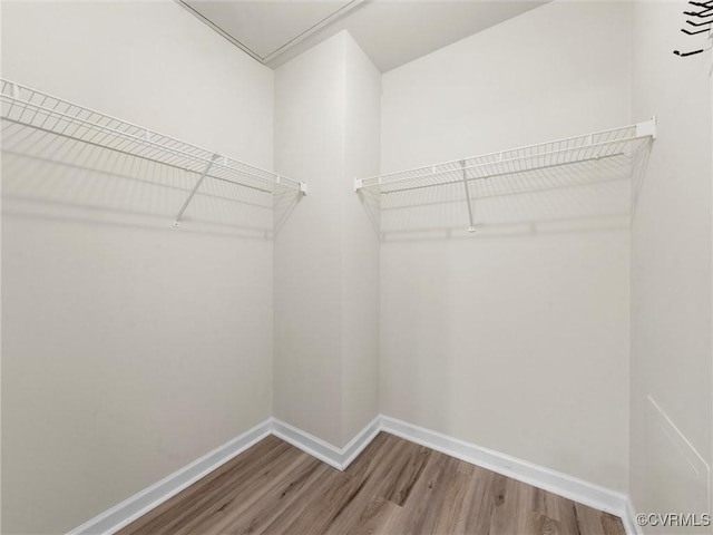 624 Bristol Village Dr Unit 302, Chesterfield, VA 23114 - walk in closet with wood finished floors and attic access