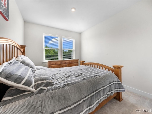 3700 Maze Runner Dr Unit 104, Midlothian, VA 23112 - bedroom with carpet and baseboards