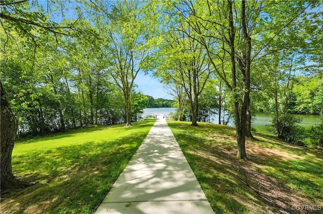 15685 Kennons Ln, Amelia, VA 23002 - view of property's community with a water view and a lawn