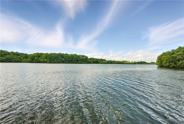 15685 Kennons Ln, Amelia, VA 23002 - water view