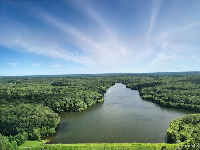15685 Kennons Ln, Amelia, VA 23002 - aerial view of a forest and a large body of water