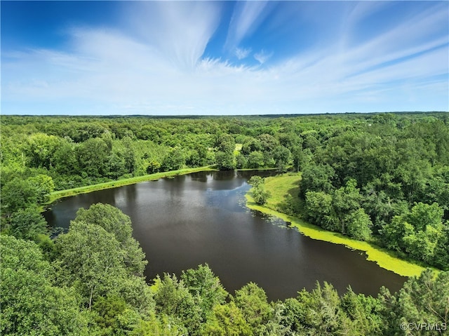 15685 Kennons Ln, Amelia, VA 23002 - aerial view of a forest and a large body of water