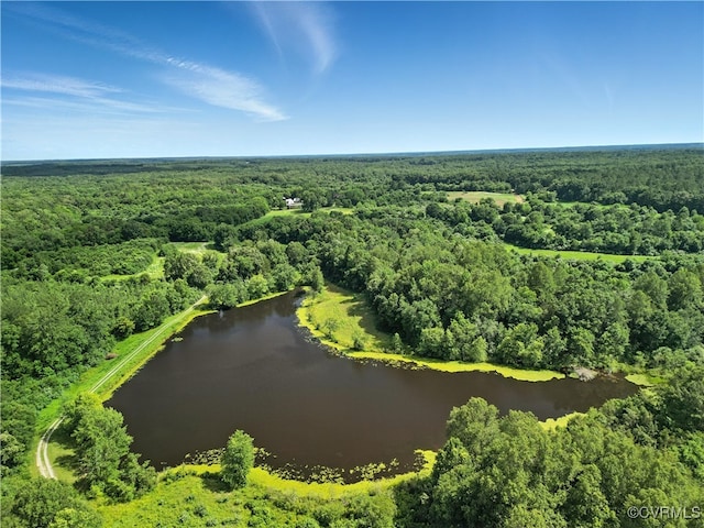 15685 Kennons Ln, Amelia, VA 23002 - bird's eye view of a forest and a large body of water