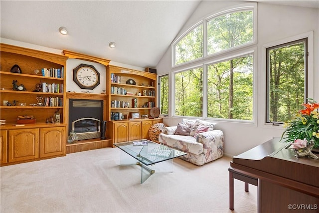 4604 Chesdin Woods Dr, Sutherland, Sutherland, VA 23885 - living area with a glass covered fireplace, carpet floors, and high vaulted ceiling