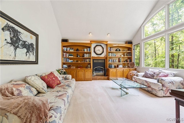 4604 Chesdin Woods Dr, Sutherland, Sutherland, VA 23885 - living area featuring carpet and high vaulted ceiling