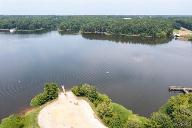 4604 Chesdin Woods Dr, Sutherland, Sutherland, VA 23885 - drone / aerial view of a forest and a nearby body of water