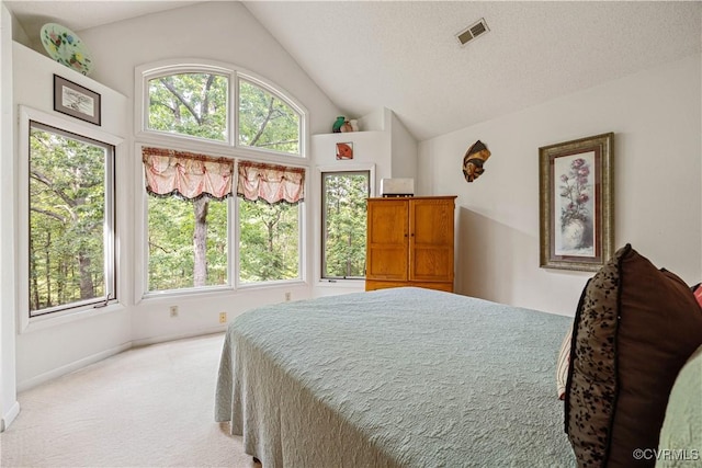 4604 Chesdin Woods Dr, Sutherland, Sutherland, VA 23885 - bedroom featuring vaulted ceiling, light colored carpet, and multiple windows