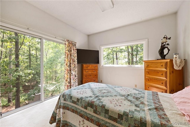 4604 Chesdin Woods Dr, Sutherland, Sutherland, VA 23885 - carpeted bedroom with a textured ceiling