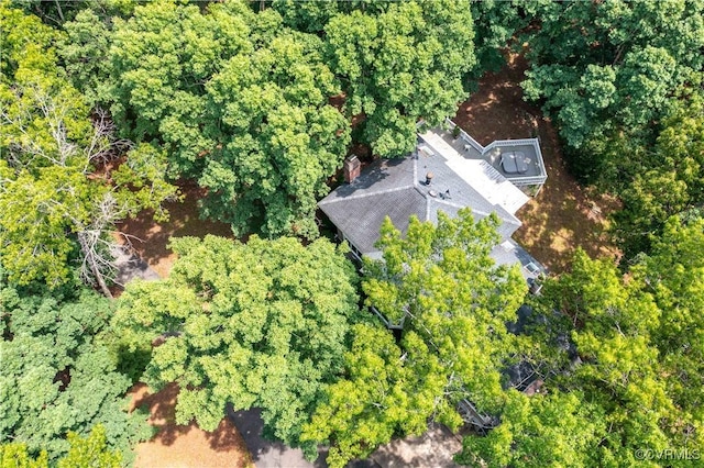 4604 Chesdin Woods Dr, Sutherland, Sutherland, VA 23885 - aerial view of property and surrounding area