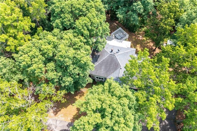 4604 Chesdin Woods Dr, Sutherland, Sutherland, VA 23885 - view from above of property
