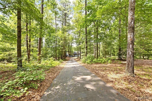 4604 Chesdin Woods Dr, Sutherland, Sutherland, VA 23885 - view of asphalt driveway with a forest view