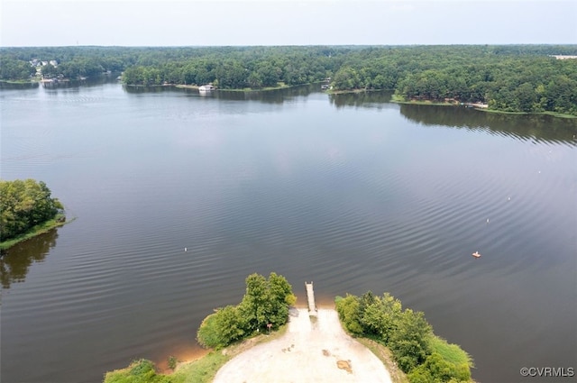 4604 Chesdin Woods Dr, Sutherland, Sutherland, VA 23885 - water view featuring a forest