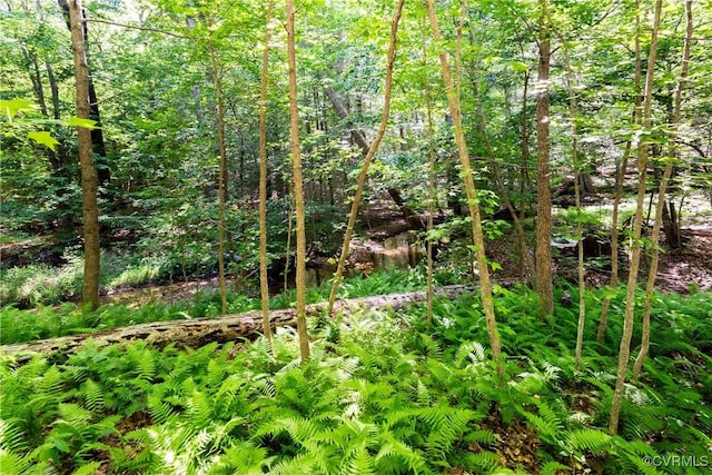 2631 Royal Crest Dr, Midlothian, VA 23113 - view of local wilderness