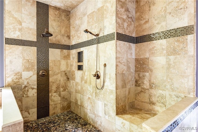 2631 Royal Crest Dr, Midlothian, VA 23113 - bathroom with a tile shower