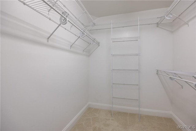 2619 Mulberry Row Rd, Midlothian, VA 23113 - spacious closet featuring light carpet