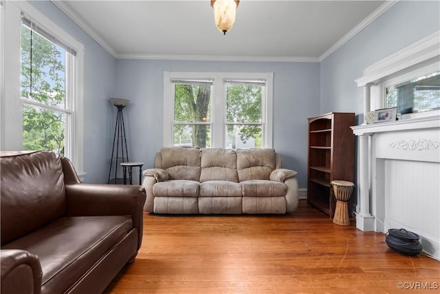 104 E 5th St, Mineral, VA 23117 - living room with wood finished floors and ornamental molding