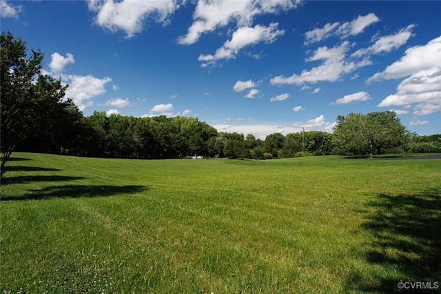 2104 Apple Grove Rd, Mineral, VA 23117 - view of green lawn featuring a view of rural / pastoral area and a view of trees