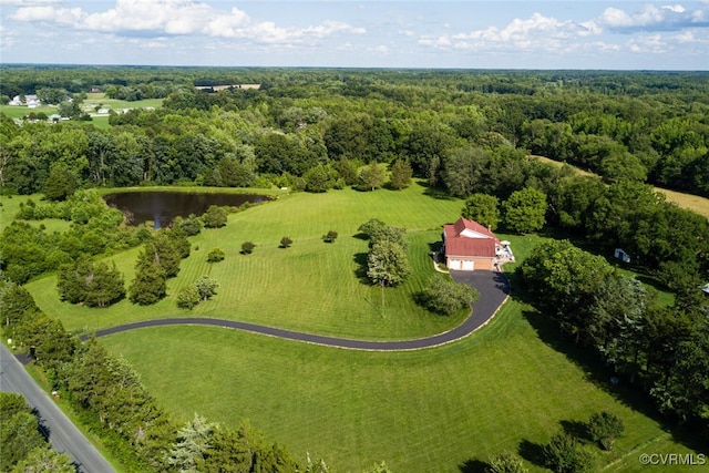 2104 Apple Grove Rd, Mineral, VA 23117 - bird's eye view of a heavily wooded area and a large body of water