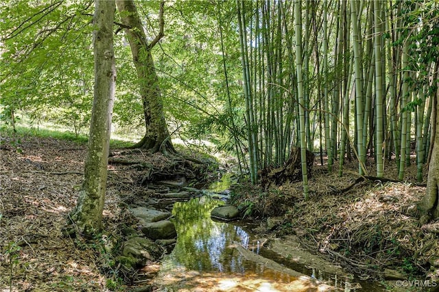 7418 Cherokee Rd, Richmond, VA 23225 - view of local wilderness