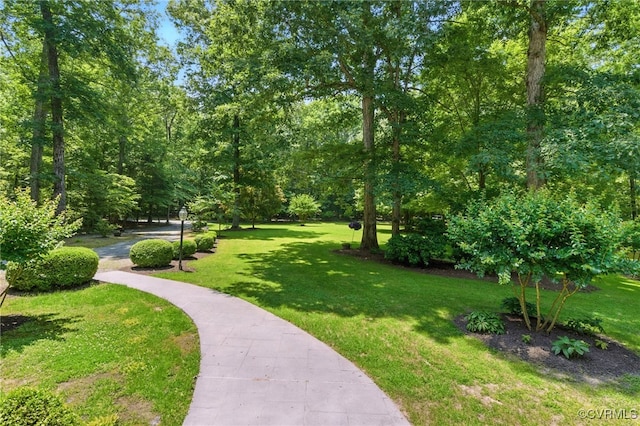 4800 Bailey Branch Ln, Quinton, VA 23141 - view of home's community featuring a yard