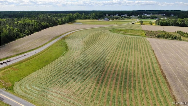 13320 Farm View Dr, Ashland, VA 23005 - photo 47