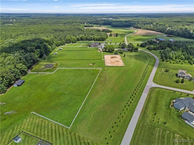 13320 Farm View Dr, Ashland, VA 23005 - photo 43