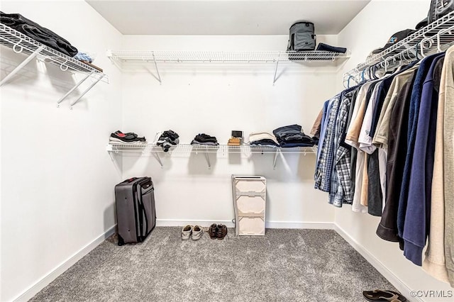236 Central Pkwy, Aylett, VA 23009 - spacious closet with carpet