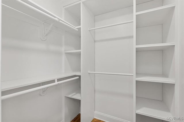 3519 Murchies Hill Rd, Richmond, VA 23234 - view of walk in closet