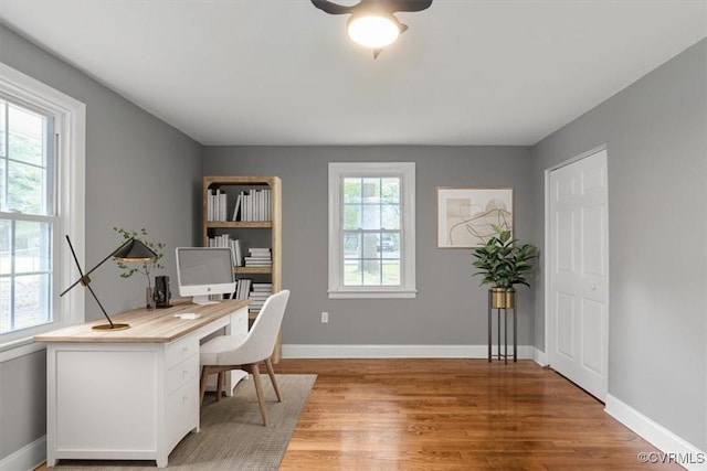 3519 Murchies Hill Rd, Richmond, VA 23234 - home office featuring light wood-style floors and a ceiling fan