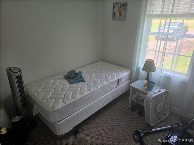 231 Fox Point Rd, Reedville, VA 22539 - carpeted bedroom featuring multiple windows