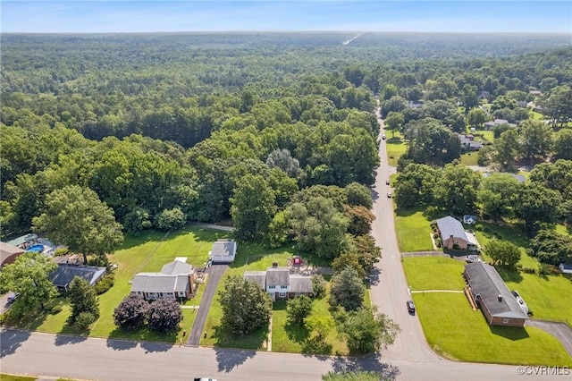 301 Perth Ln, Sandston, VA 23150 - bird's eye view of a heavily wooded area