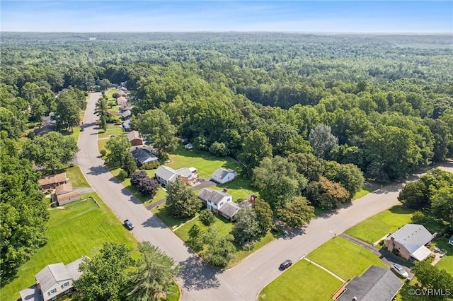 301 Perth Ln, Sandston, VA 23150 - drone / aerial view of a forest