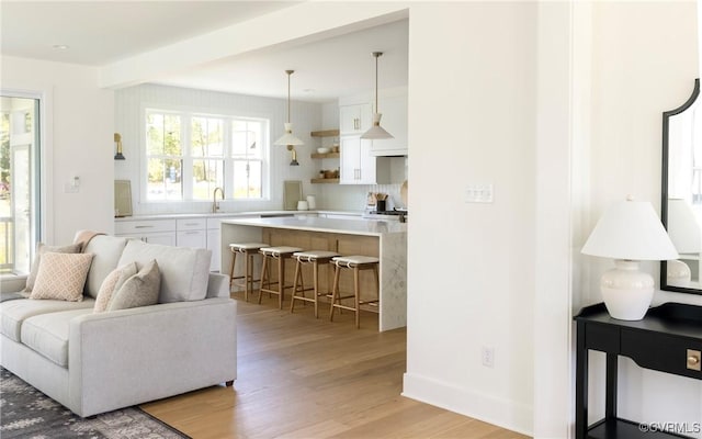 4812 Lake Summer Loop, Moseley, VA 23120 - living room featuring light wood finished floors and baseboards