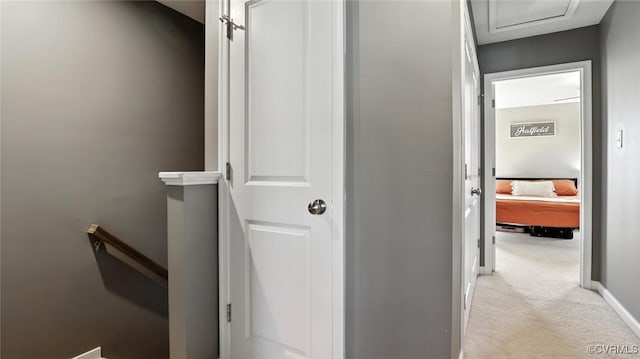 1954 Kennington Park Rd, Aylett, VA 23009 - corridor with an upstairs landing and carpet flooring