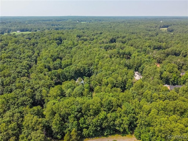 3169 Lees Landing Rd, Powhatan, VA 23139 - photo 17