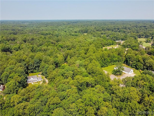 3169 Lees Landing Rd, Powhatan, VA 23139 - photo 9