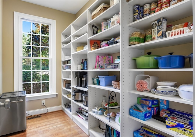 8707 Taylor Landing Pl, Chesterfield, VA 23838 - view of pantry