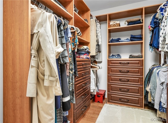 8707 Taylor Landing Pl, Chesterfield, VA 23838 - spacious closet featuring light wood-style floors