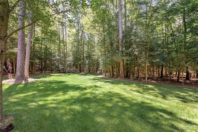 8707 Taylor Landing Pl, Chesterfield, VA 23838 - view of grassy yard featuring a view of trees