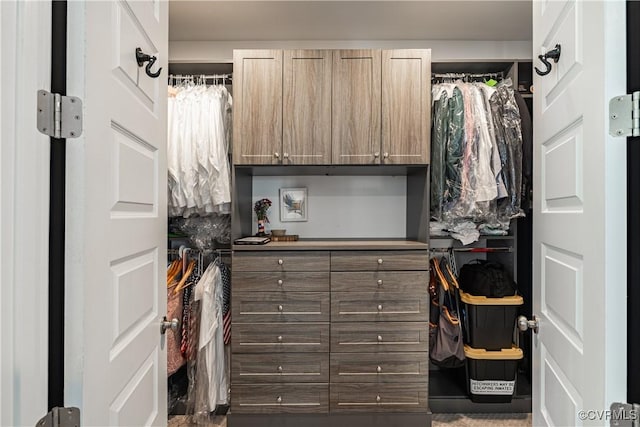2449 Gold Leaf Cir, Henrico, VA 23233 - view of spacious closet